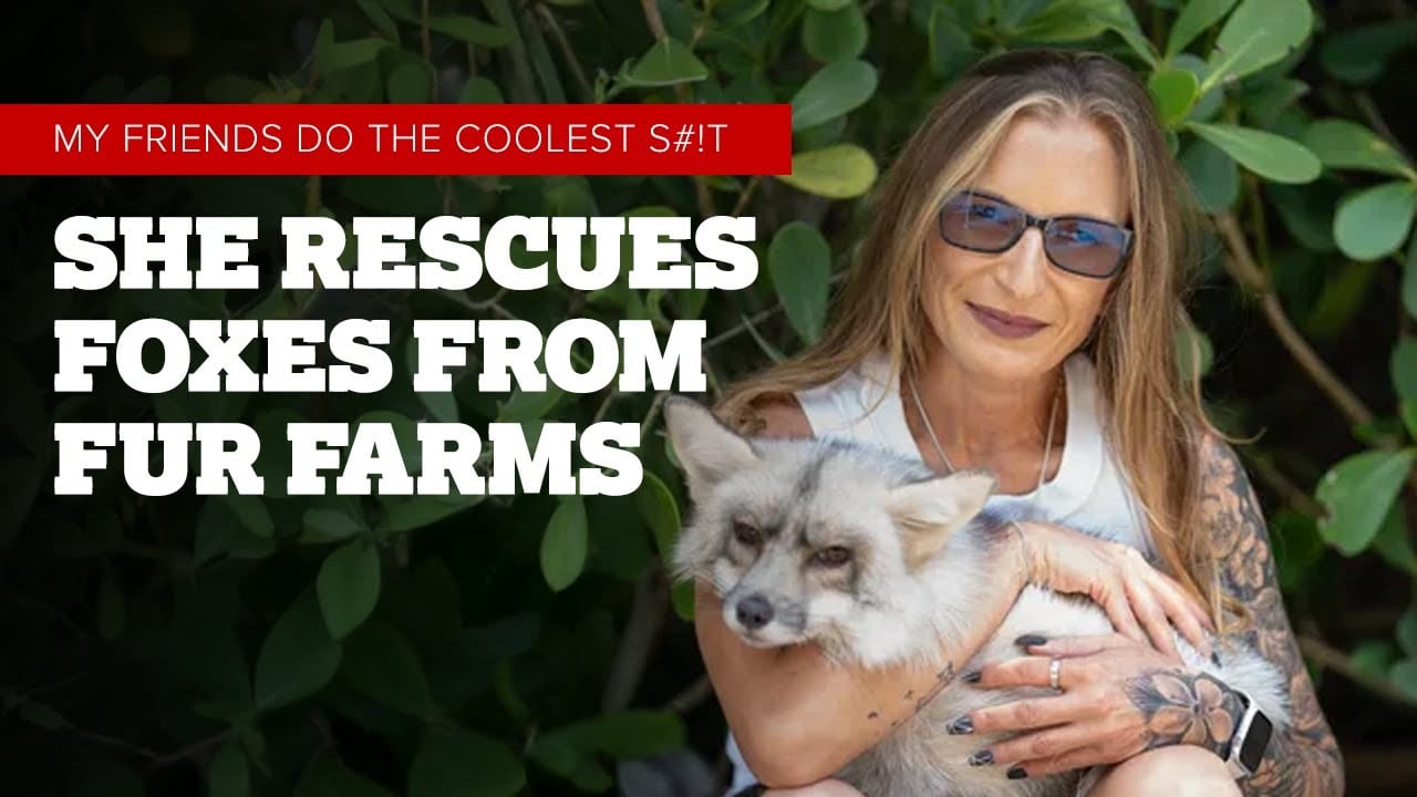 Nicole Navarro: She Rescues Foxes From Fur Farms