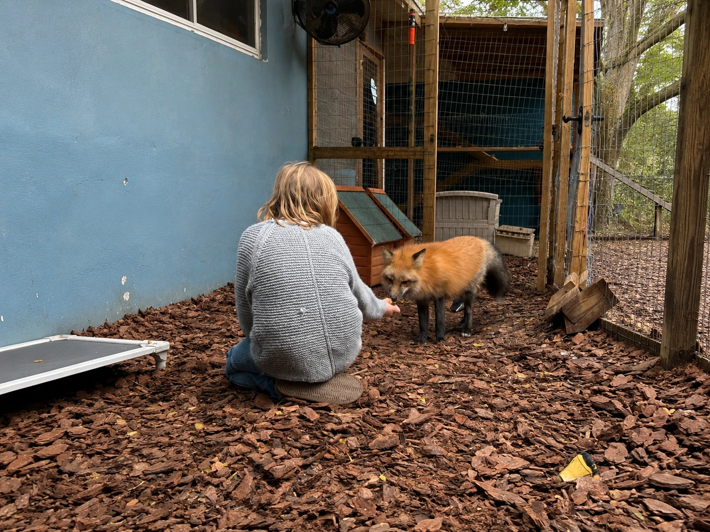 A sanctuary caregiver bonding with a rescued white fox at Pawsitive Beginnings