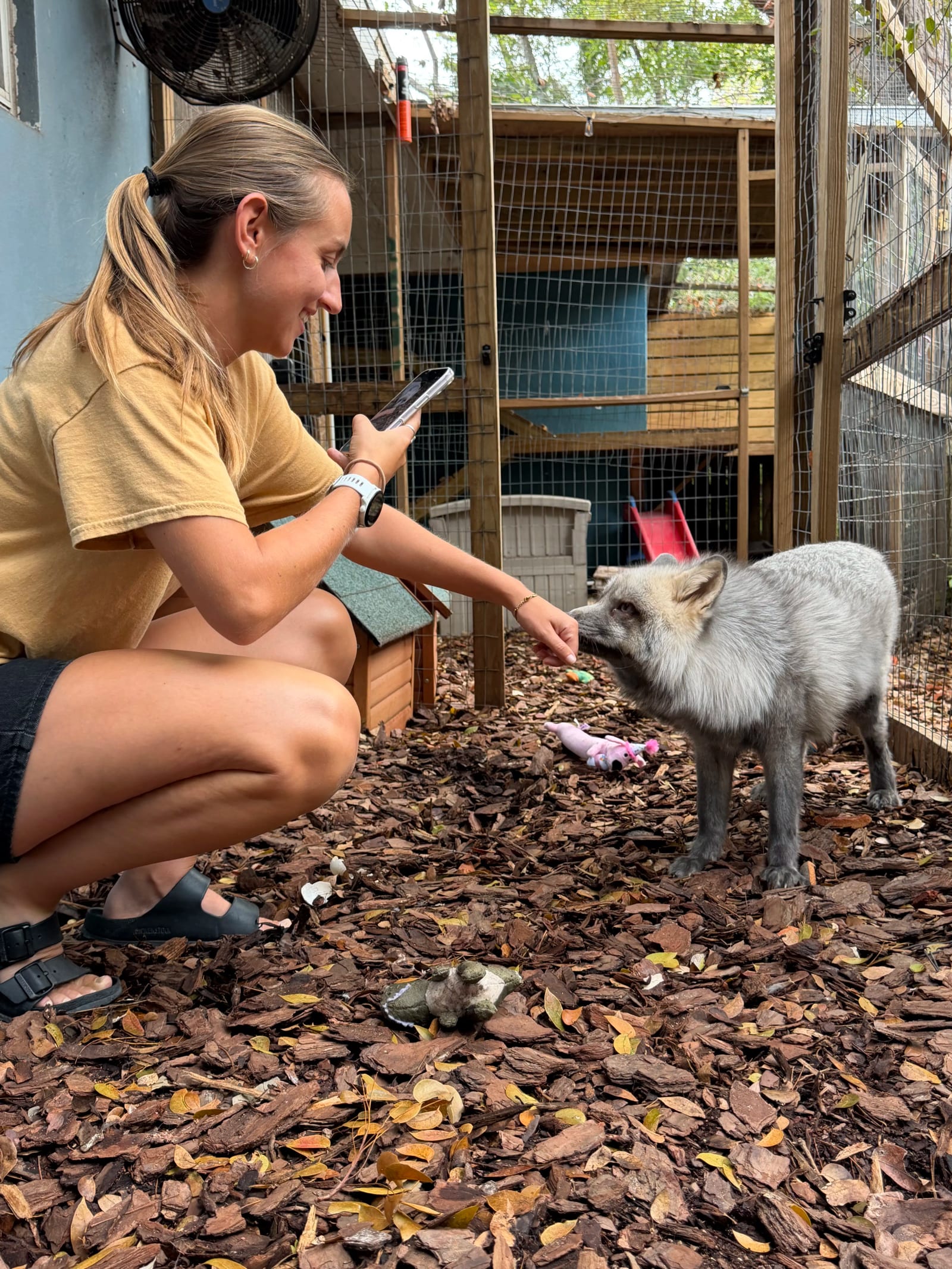 A Pawsitive Beginnings caregiver and a rescued arctic fox sharing a quiet moment at the sanctuary