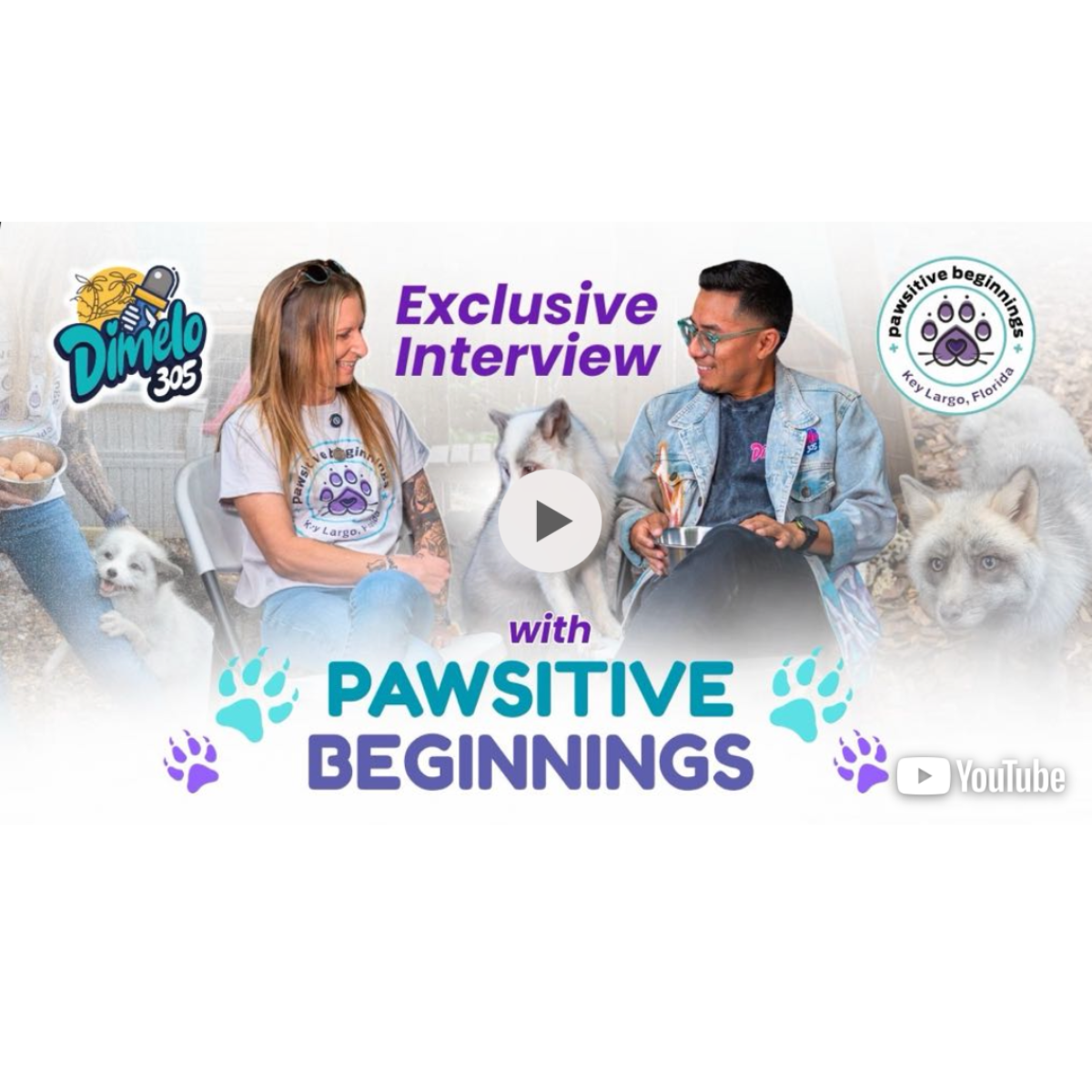 Surrounded by Foxes! Interviewing Nicole Navarro | founder of Pawsitive Beginnings Fox Sanctuary