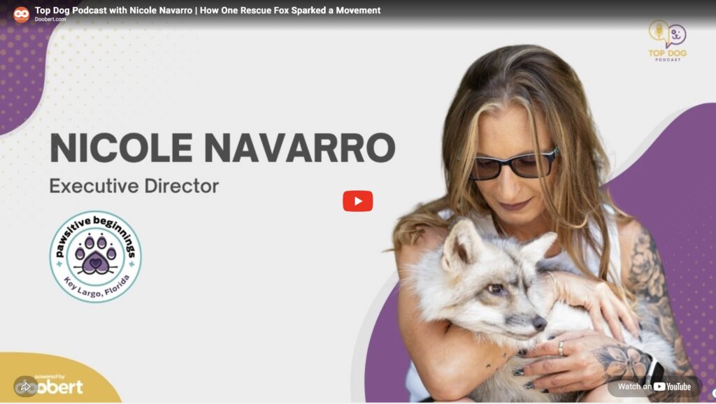 Nicole Navarro | The Unexpected Therapy of a Fox Sanctuary